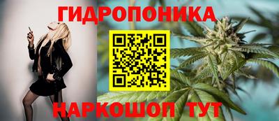 скорость Гай