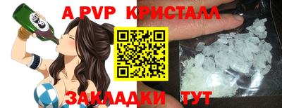 спиды Гатчина