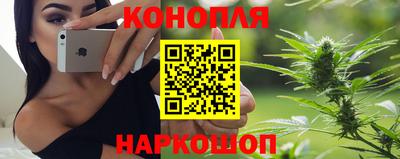 спиды Гатчина