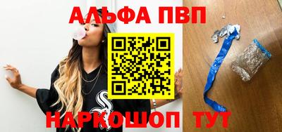 спиды Гатчина