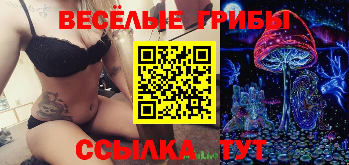 Галлюциногенные грибы Psilocybe Ртищево
