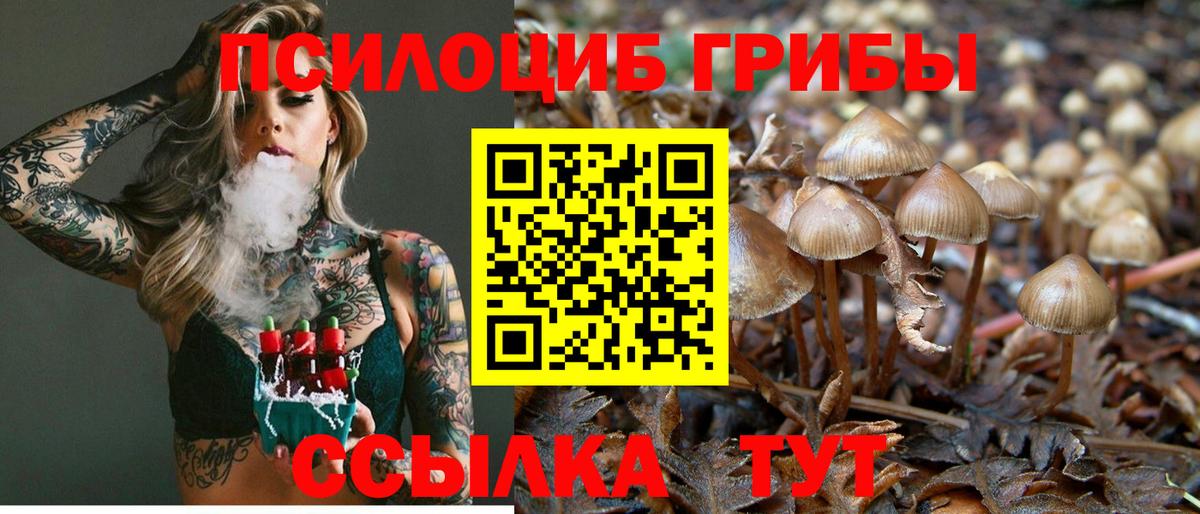 Ртищево  Галлюциногенные грибы GOLDEN TEACHER  Вход с VPN 